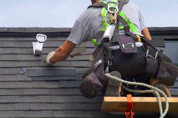 Best Roof Gutter Cleaning  in Delta Junction, AK
