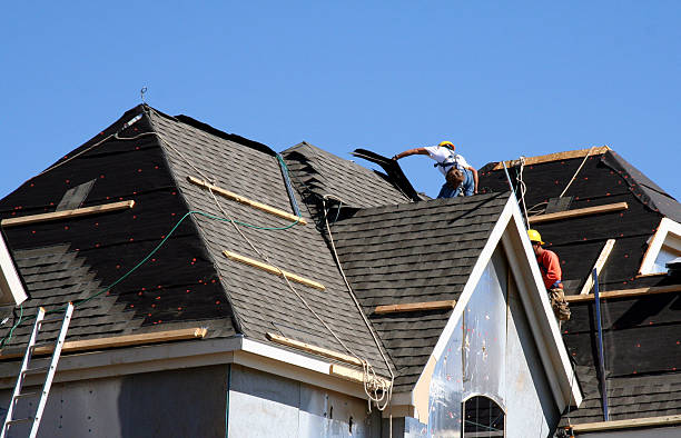 Best Roof Repair Services  in Delta Junction, AK