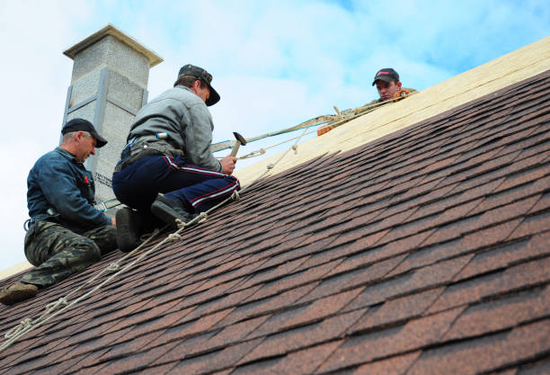 Best Flat Roof Repair Services  in Delta Junction, AK